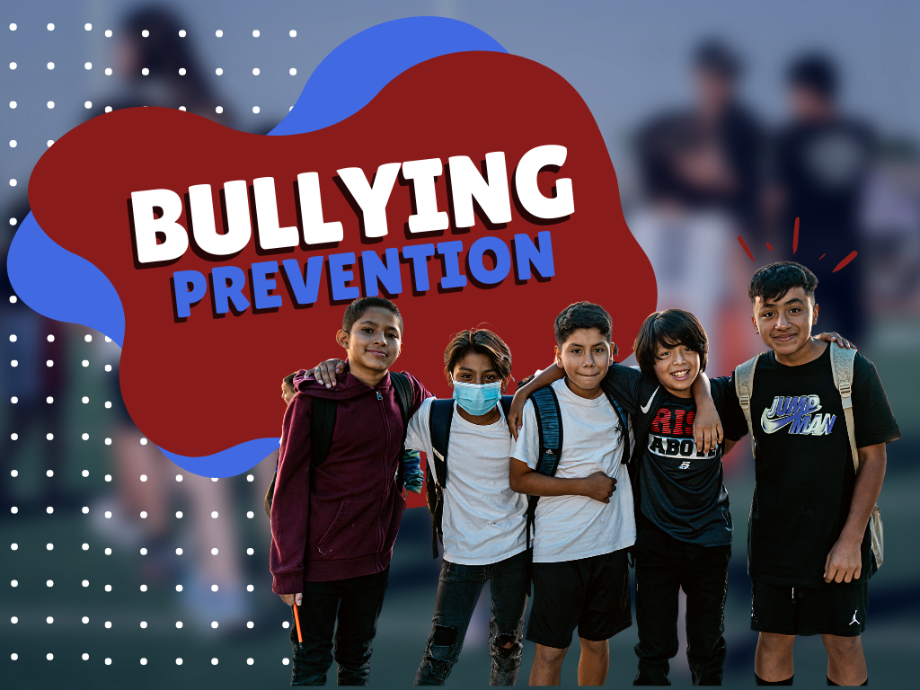  bully